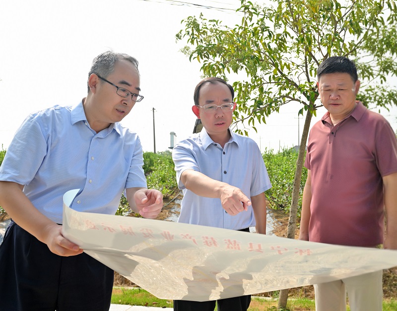 孟景伟深入怀宁县调研经济社会发展情况